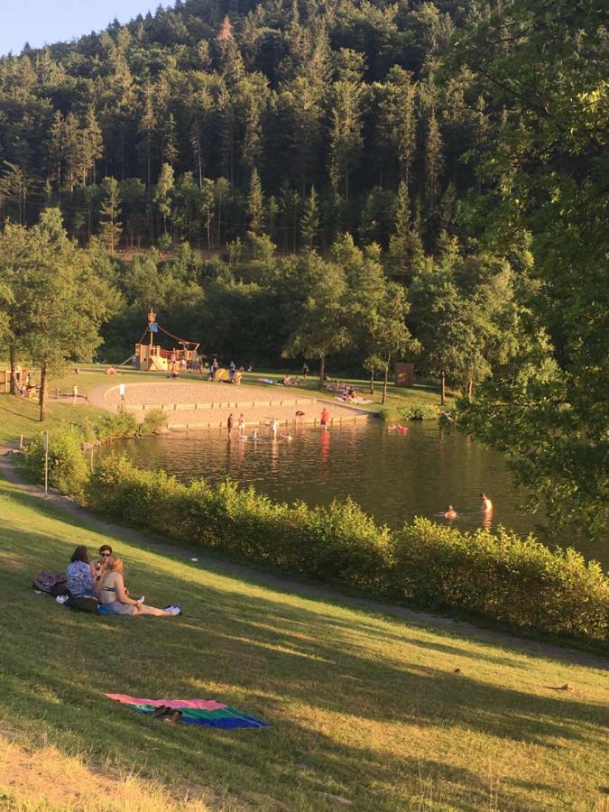 App Mit Seeblick Am Hillebachsee In Winterberg Ot Exterior photo