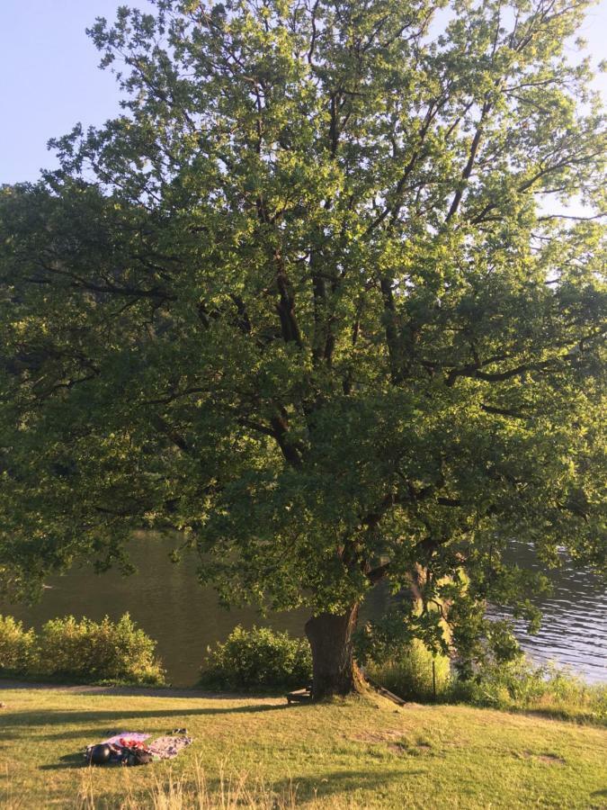 App Mit Seeblick Am Hillebachsee In Winterberg Ot Exterior photo